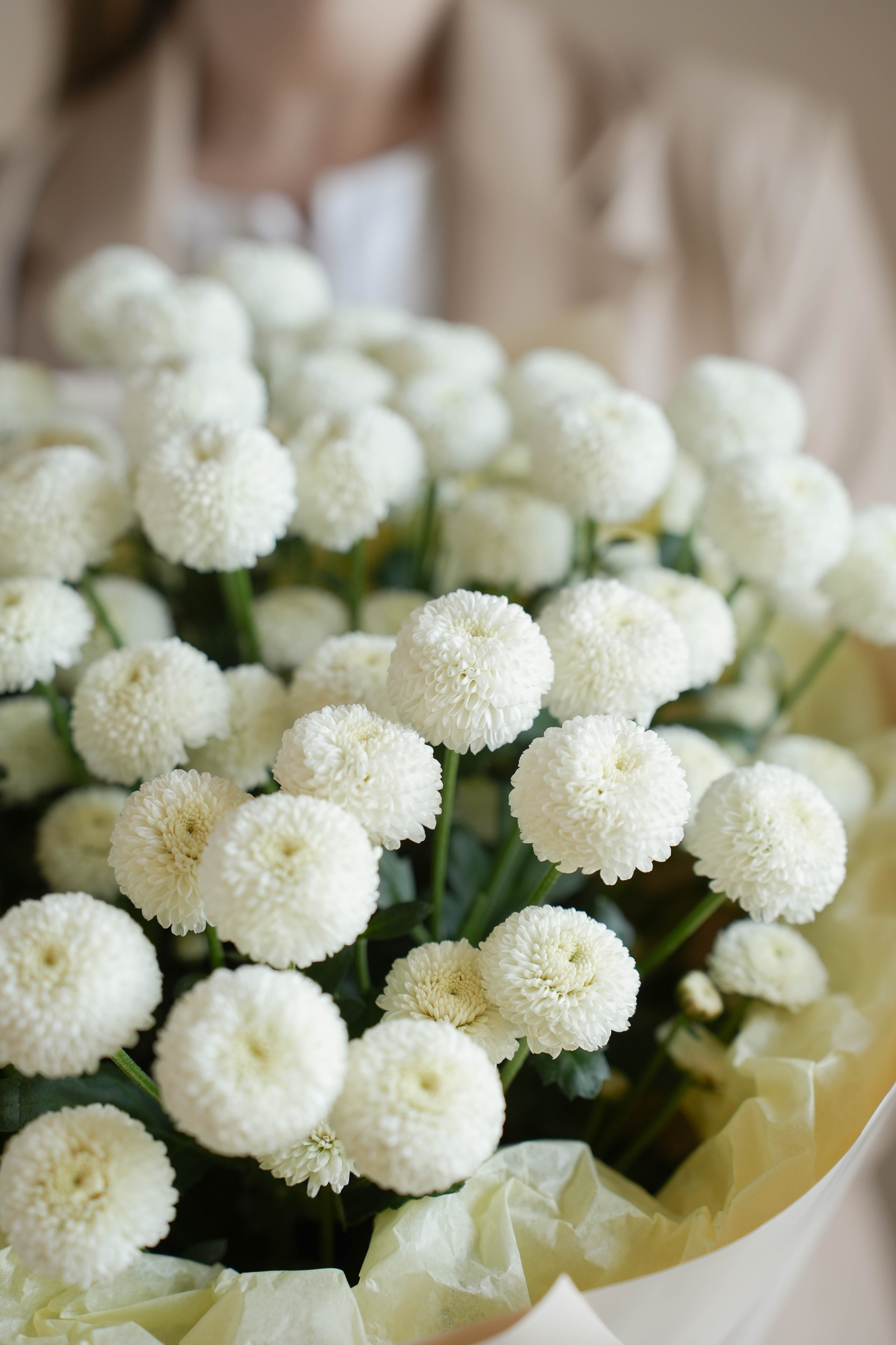 Букет из кустовой хризантемы «Ньютон»